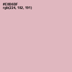 #E0B6BF - Cavern Pink Color Image