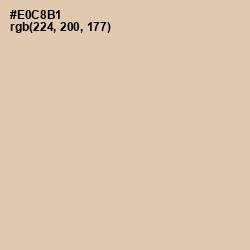 #E0C8B1 - Just Right Color Image