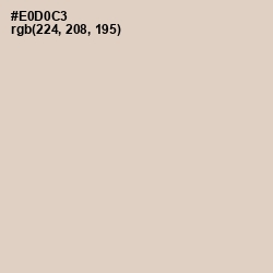 #E0D0C3 - Bone Color Image