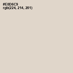 #E0D6C9 - Bone Color Image