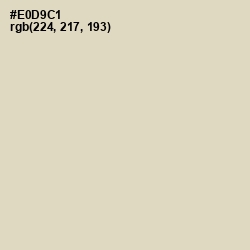 #E0D9C1 - Bone Color Image