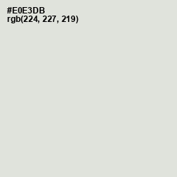 #E0E3DB - Periglacial Blue Color Image