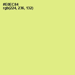 #E0EC84 - Mindaro Color Image