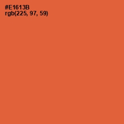 #E1613B - Outrageous Orange Color Image