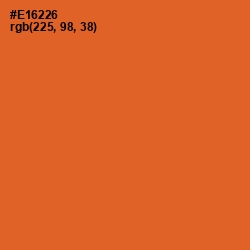 #E16226 - Outrageous Orange Color Image