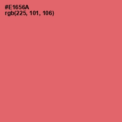 #E1656A - Sunglo Color Image