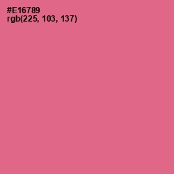 #E16789 - Deep Blush Color Image