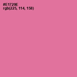 #E1729E - Deep Blush Color Image