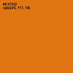 #E17512 - Tango Color Image