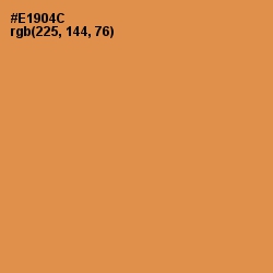 #E1904C - Tan Hide Color Image