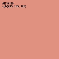 #E19180 - Tonys Pink Color Image