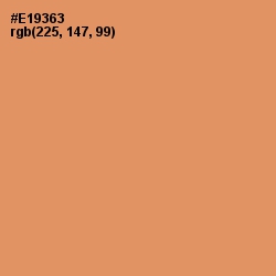 #E19363 - Apricot Color Image