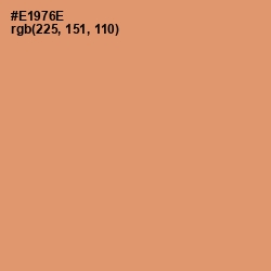 #E1976E - Apricot Color Image
