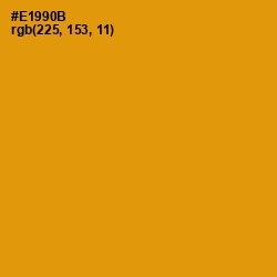 #E1990B - Gamboge Color Image