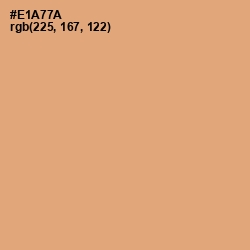 #E1A77A - Harvest Gold Color Image