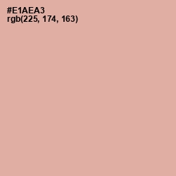 #E1AEA3 - Cashmere Color Image