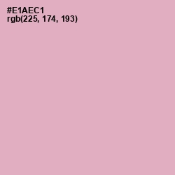 #E1AEC1 - Illusion Color Image