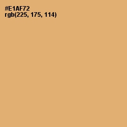 #E1AF72 - Harvest Gold Color Image