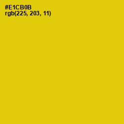 #E1CB0B - Ripe Lemon Color Image