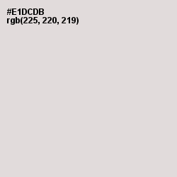 #E1DCDB - Bizarre Color Image