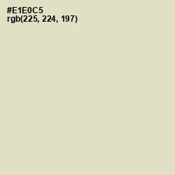 #E1E0C5 - Aths Special Color Image