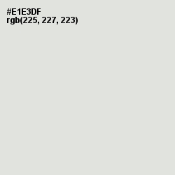 #E1E3DF - Periglacial Blue Color Image