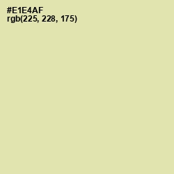 #E1E4AF - Double Colonial White Color Image