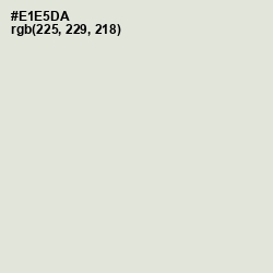 #E1E5DA - Periglacial Blue Color Image