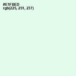 #E1FBED - Hint of Green Color Image