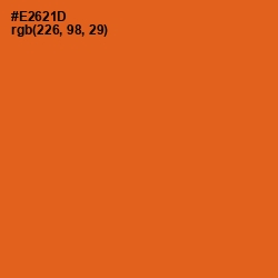 #E2621D - Christine Color Image