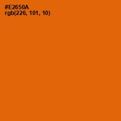 #E2650A - Clementine Color Image