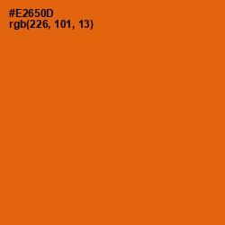 #E2650D - Clementine Color Image