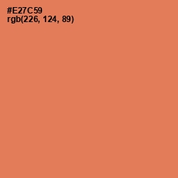 #E27C59 - Terracotta Color Image