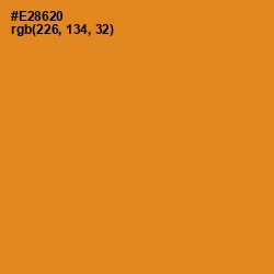 #E28620 - Carrot Orange Color Image