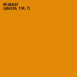 #E28A07 - Golden Bell Color Image