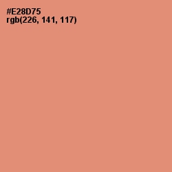 #E28D75 - Apricot Color Image