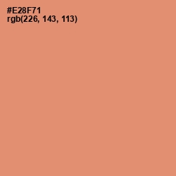 #E28F71 - Apricot Color Image