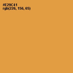 #E29C41 - Tan Hide Color Image