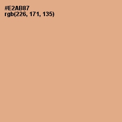#E2AB87 - Tacao Color Image