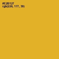 #E2B127 - Fuel Yellow Color Image