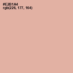 #E2B1A4 - Cashmere Color Image