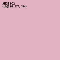 #E2B1C2 - Illusion Color Image