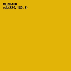 #E2B408 - Corn Color Image