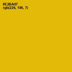 #E2BA07 - Corn Color Image