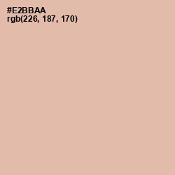 #E2BBAA - Cashmere Color Image