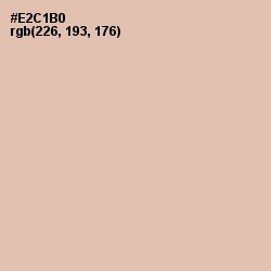 #E2C1B0 - Just Right Color Image