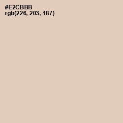#E2CBBB - Just Right Color Image