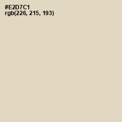 #E2D7C1 - Bone Color Image