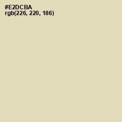 #E2DCBA - Double Spanish White Color Image