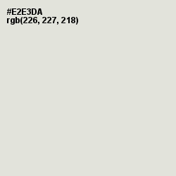 #E2E3DA - Periglacial Blue Color Image